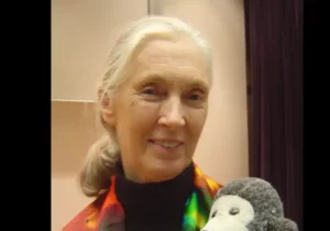 Jane Goodall