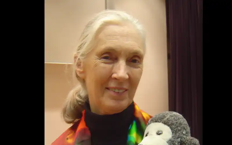 Jane Goodall