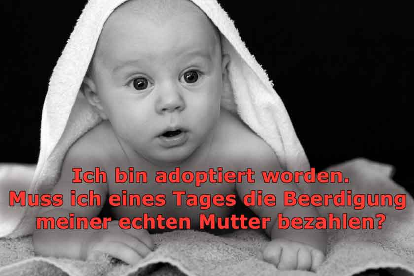 adoption-pixabay2