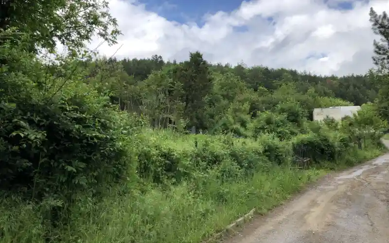 Kaum zu erkennen, eine Wiese neben der Straße ist ein Friedhof